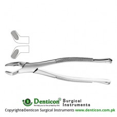 American Pattern Tooth Extracting Forcep Fig. 210S ( For Upper Molars) Stainless Steel, Standard